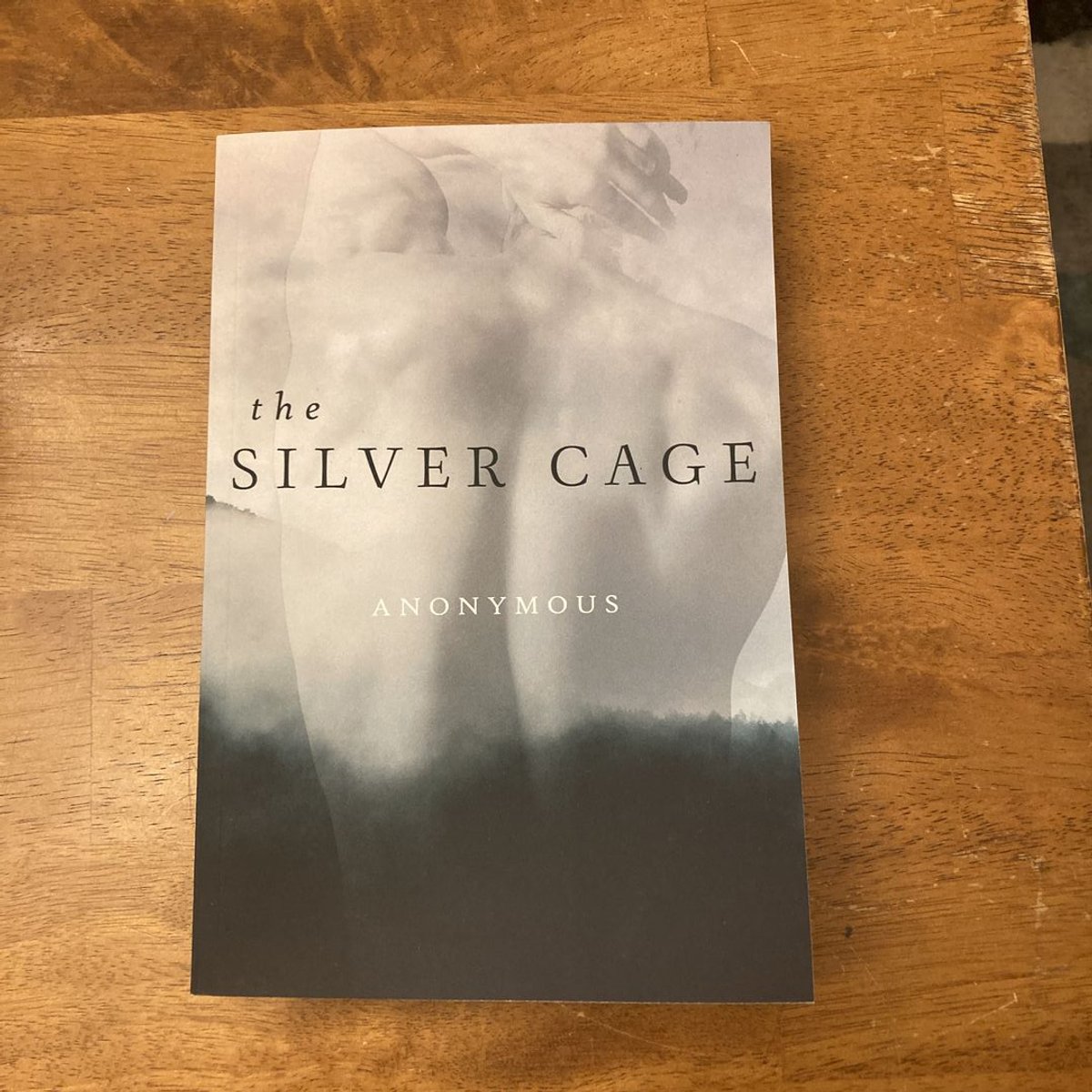 The Silver Cage by Anonymous