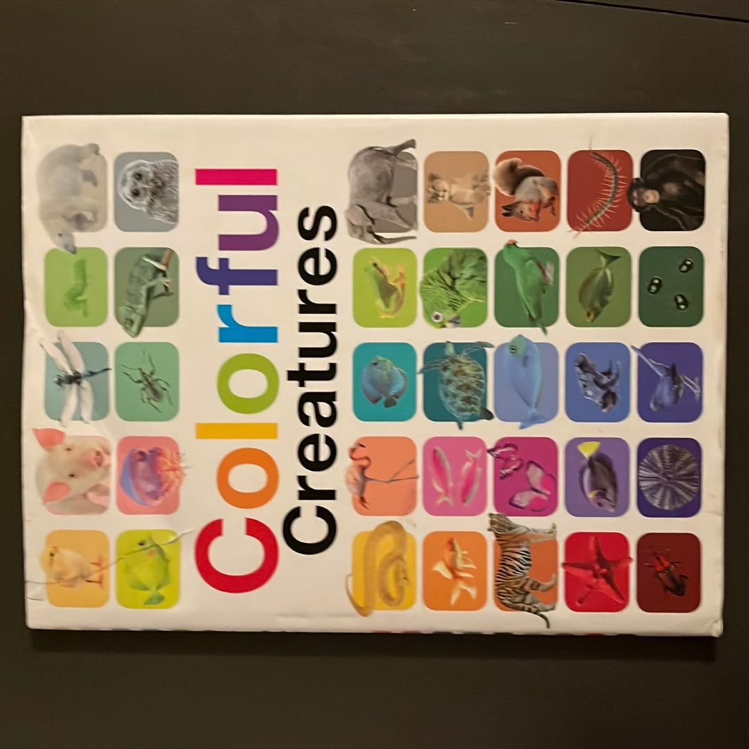 Colorful Creatures