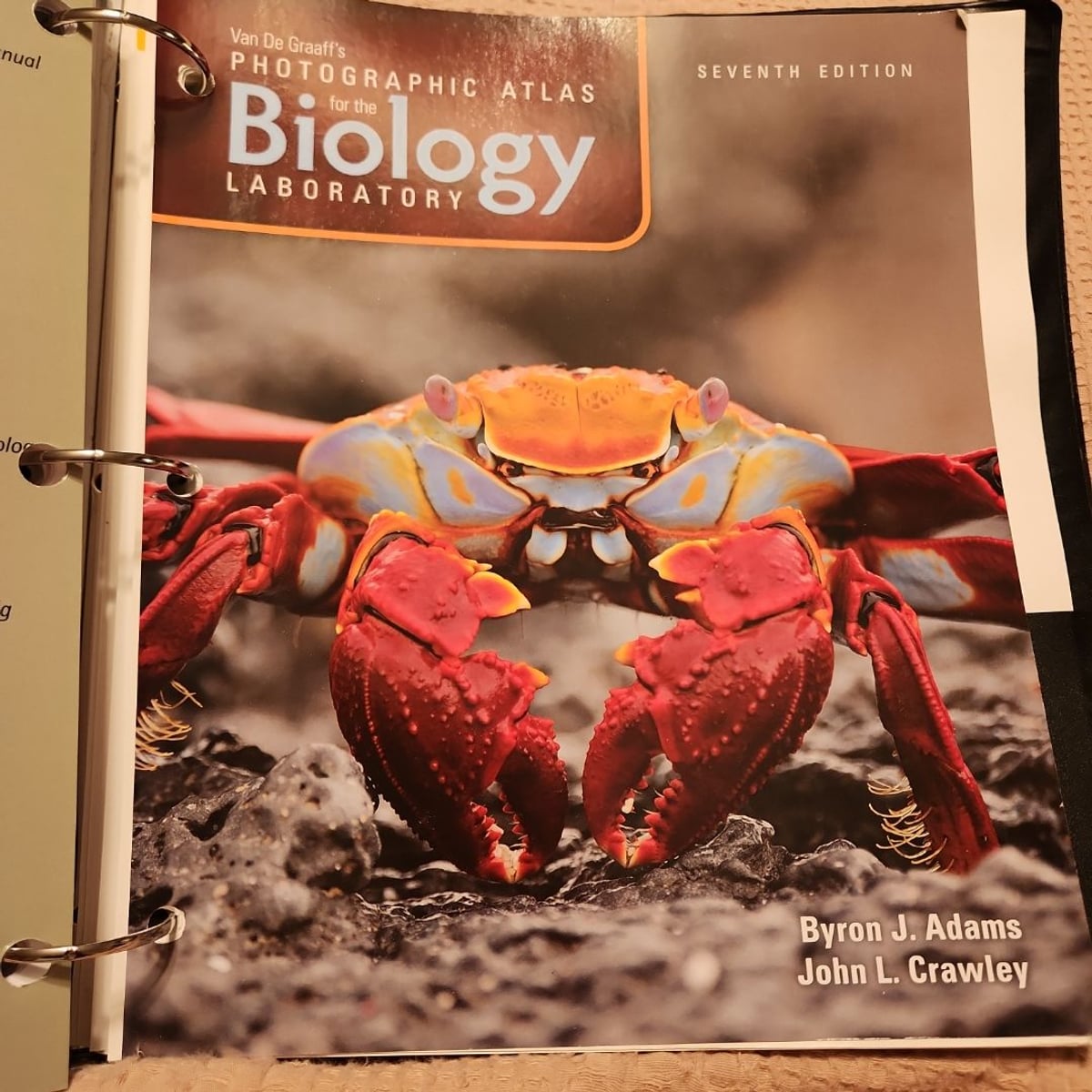 Van de Graaff's Photographic Atlas for the Biology Laboratory by Byron ...
