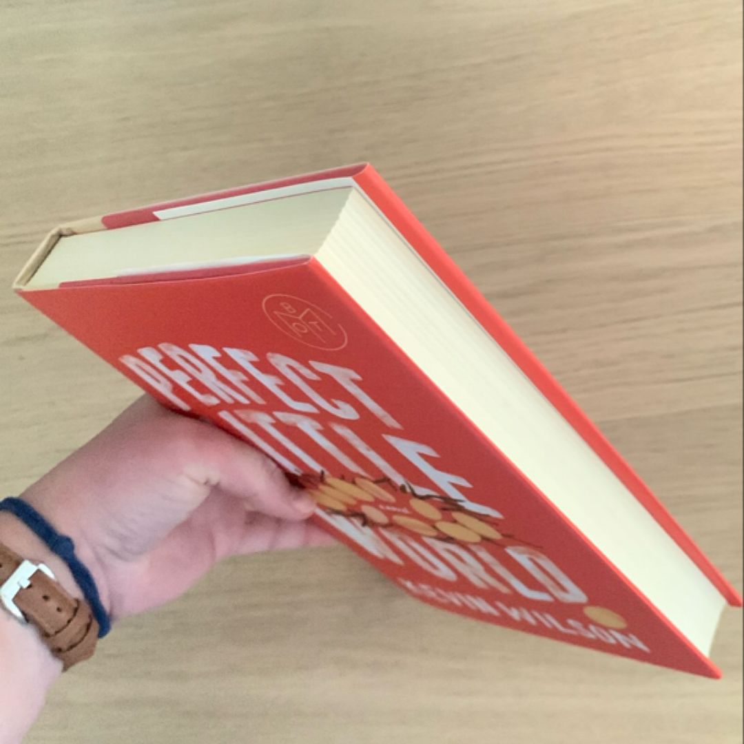 Perfect Little World