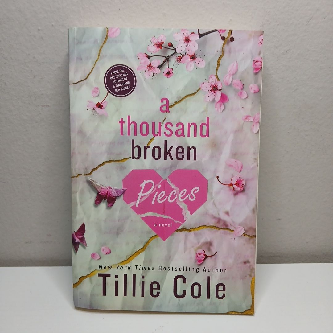 A Thousand Broken Pieces