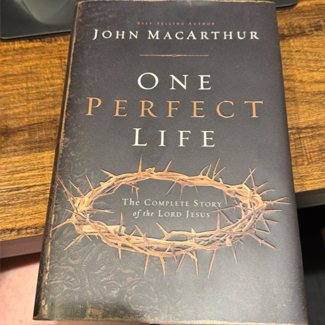 One Perfect Life