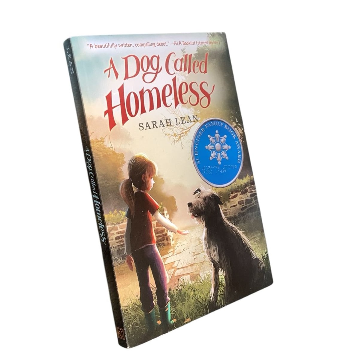 A Dog Called Homeless by Sarah Lean