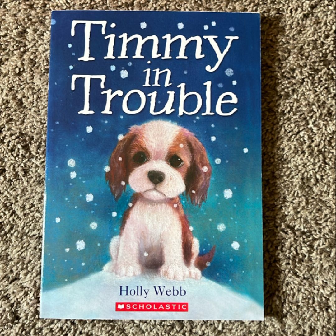 Timmy in Trouble