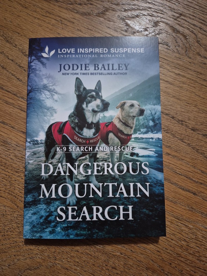 Dangerous Mountain Search
