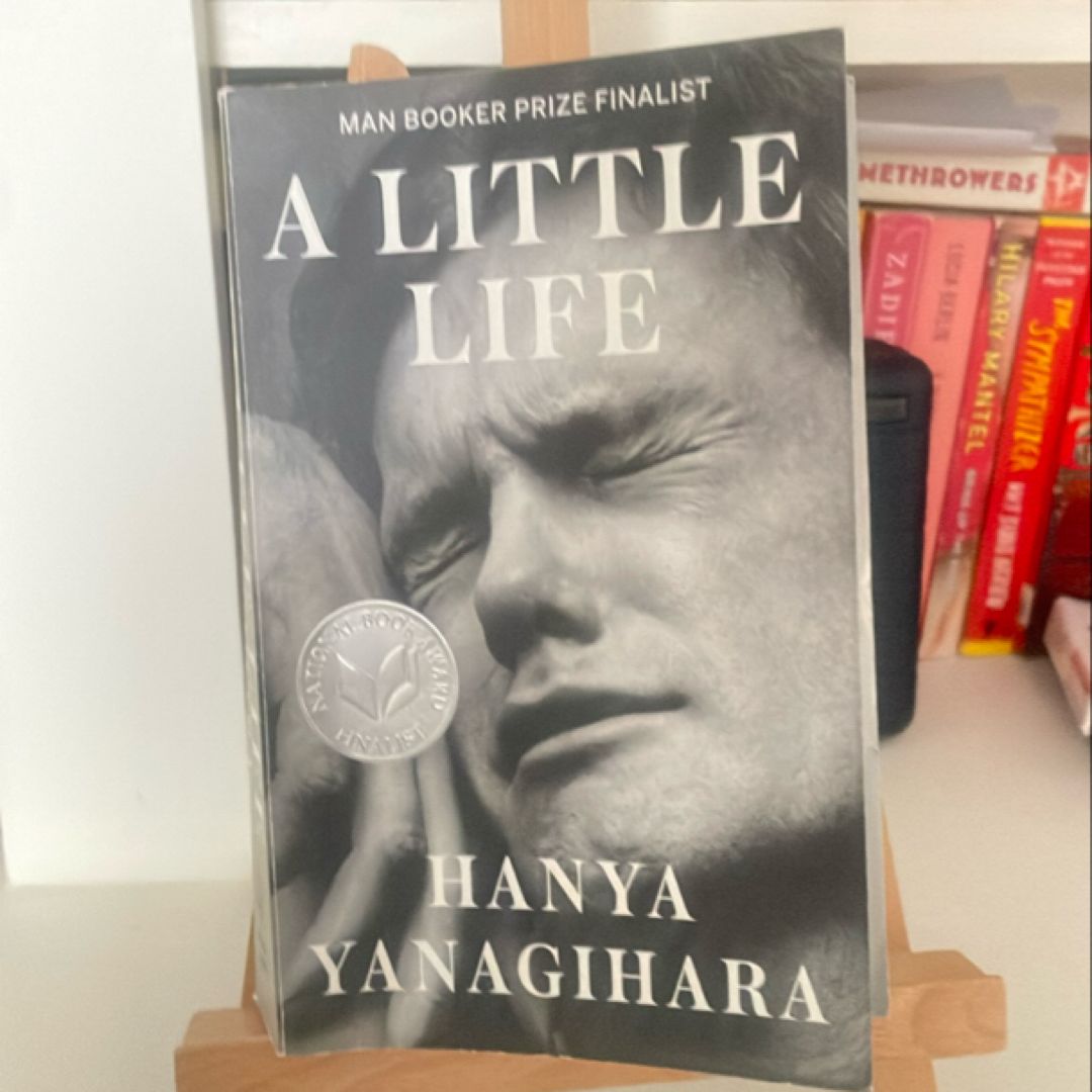 A Little Life