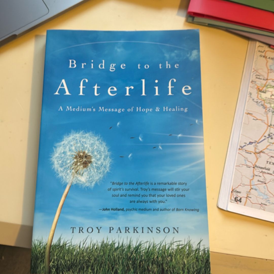 Bridge to the Afterlife