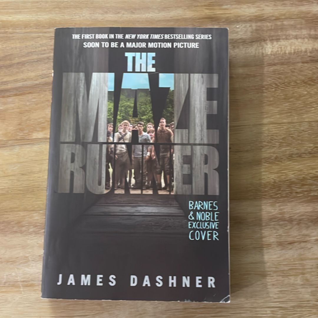 The Maze Runner