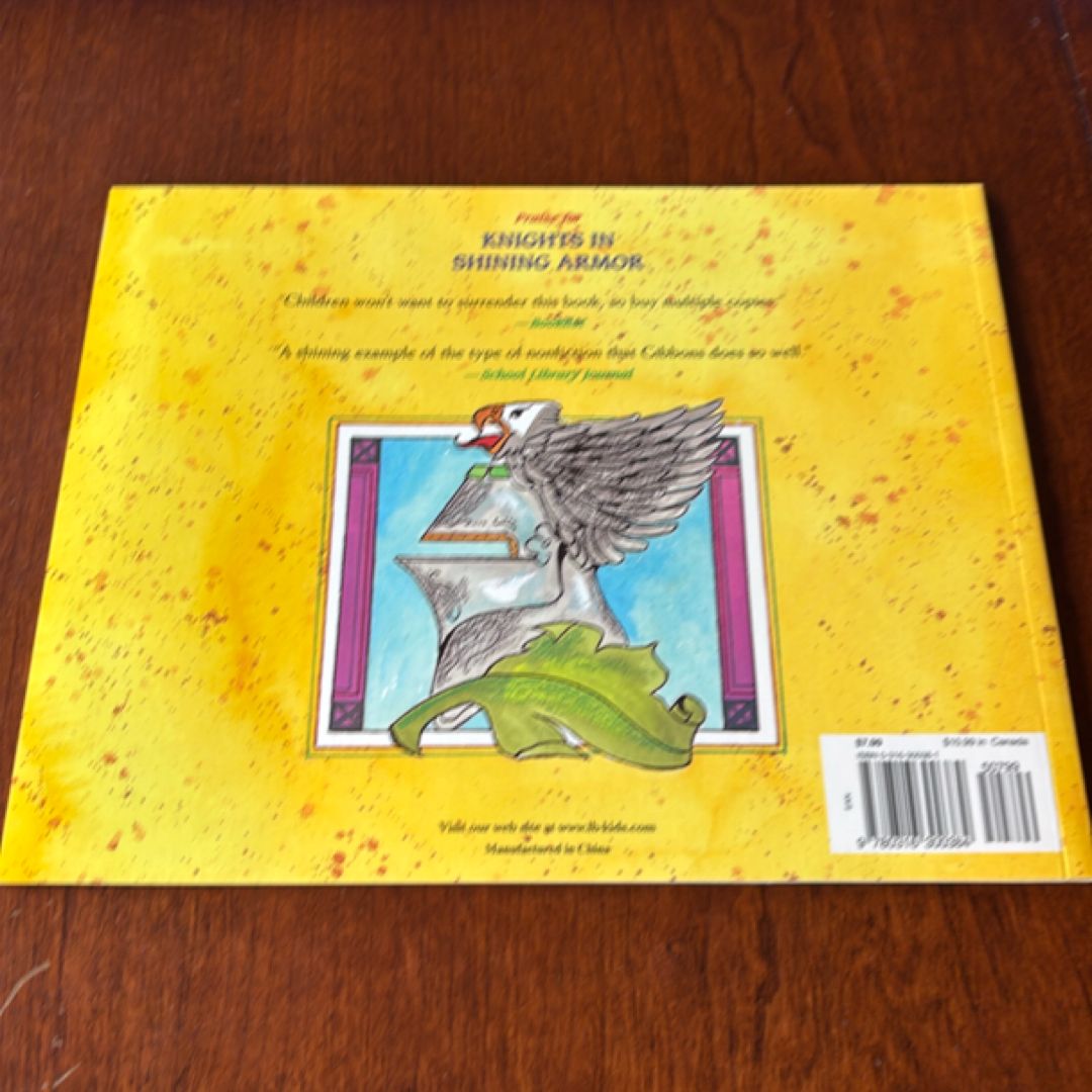 Knights in Shining Armor