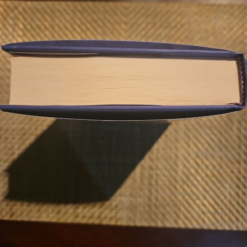 Lost in the Never Woods