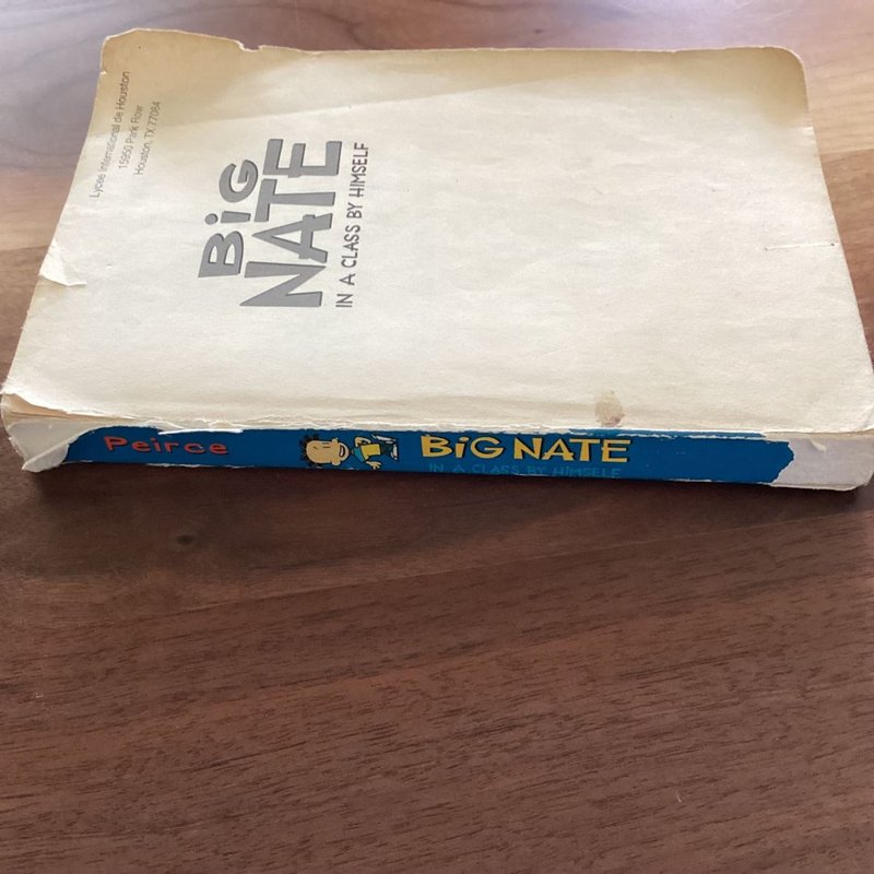 Big Nate: in a Class by Himself
