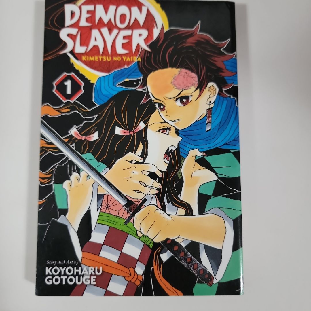 Demon Slayer: Kimetsu No Yaiba, Vol. 1