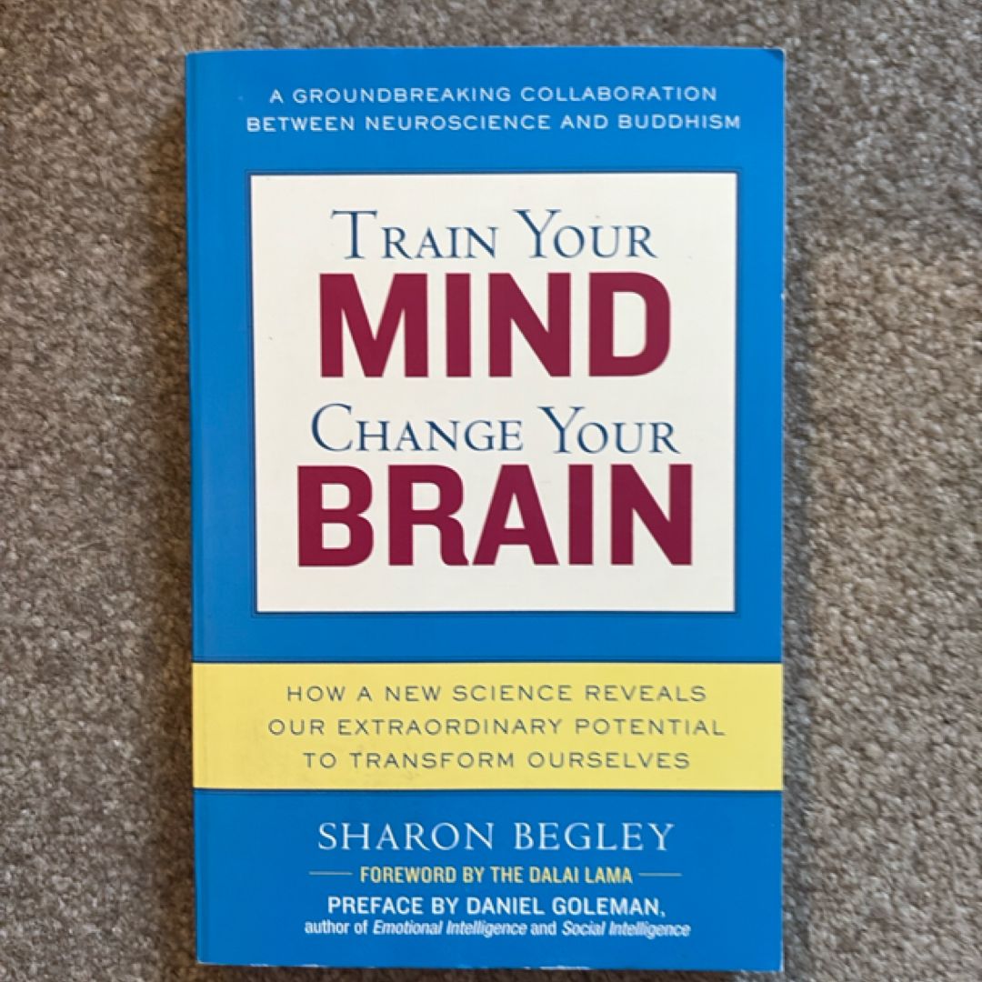 Train Your Mind, Change Your Brain