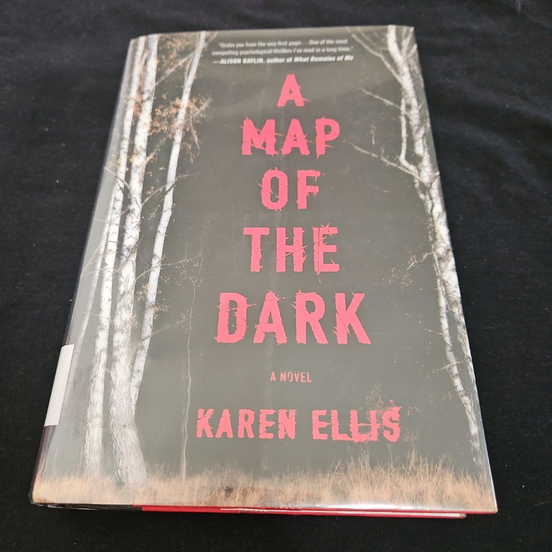 A Map of the Dark