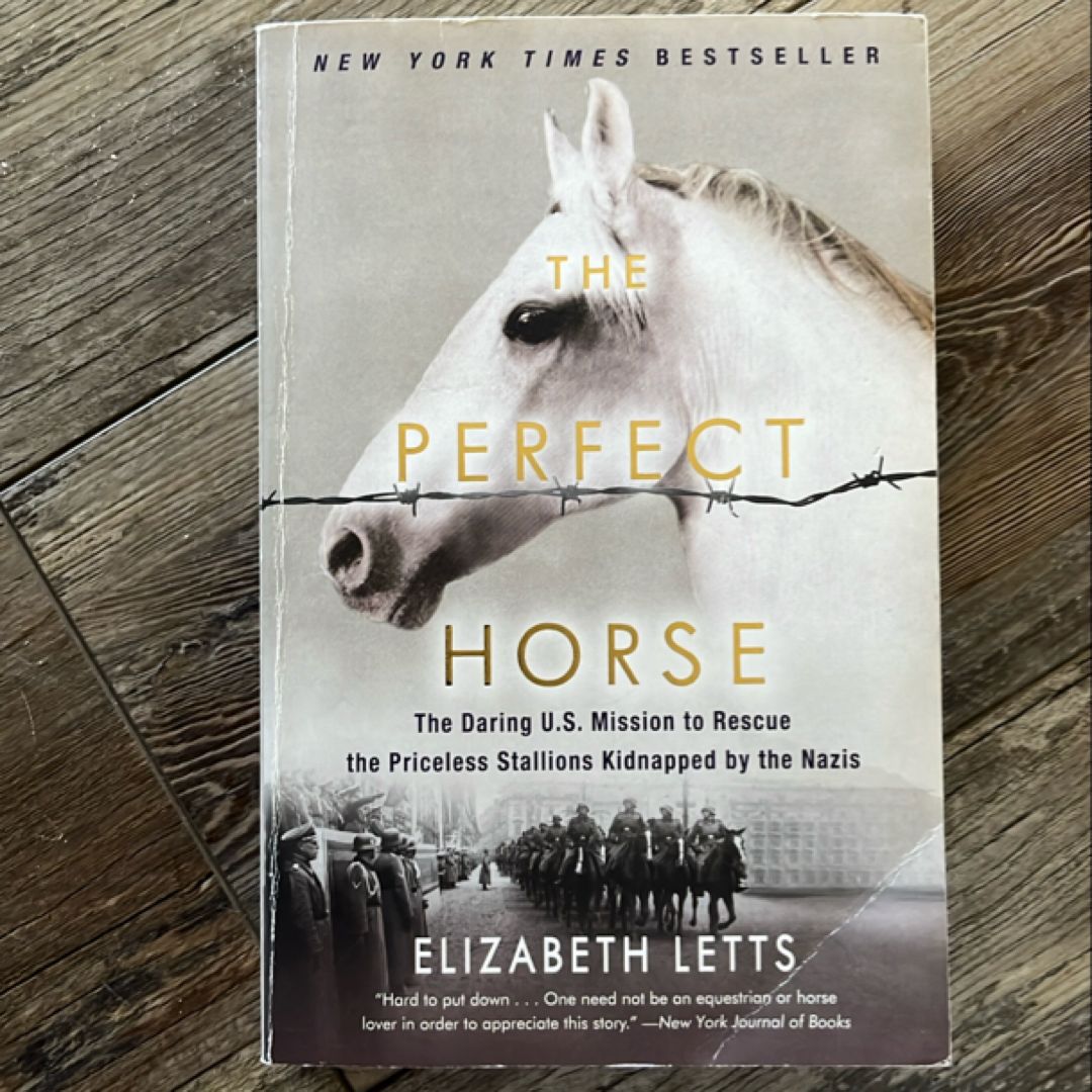The Perfect Horse