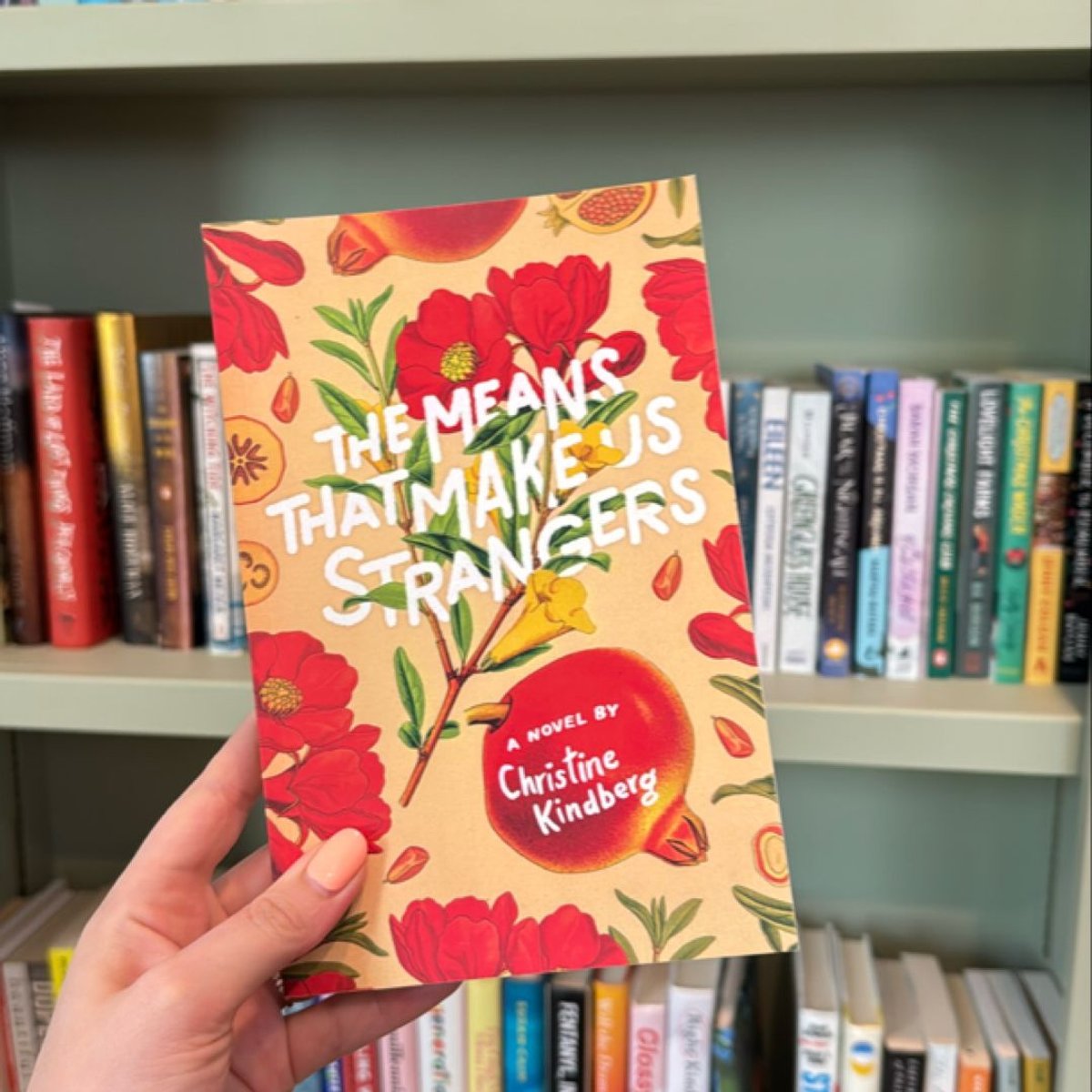 The Means That Make Us Strangers by Christine Kindberg