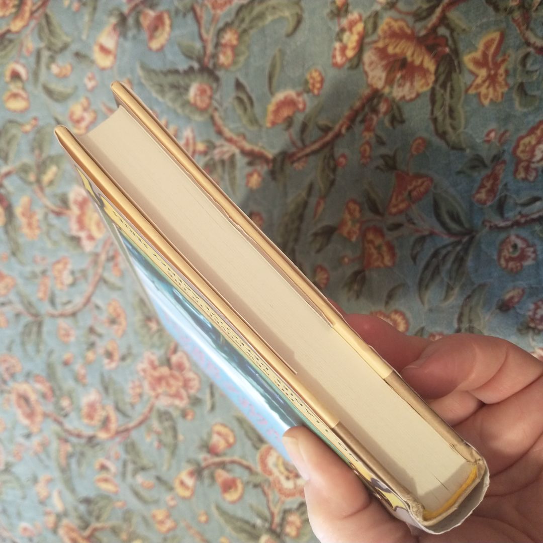 The Good Husband of Zebra Drive