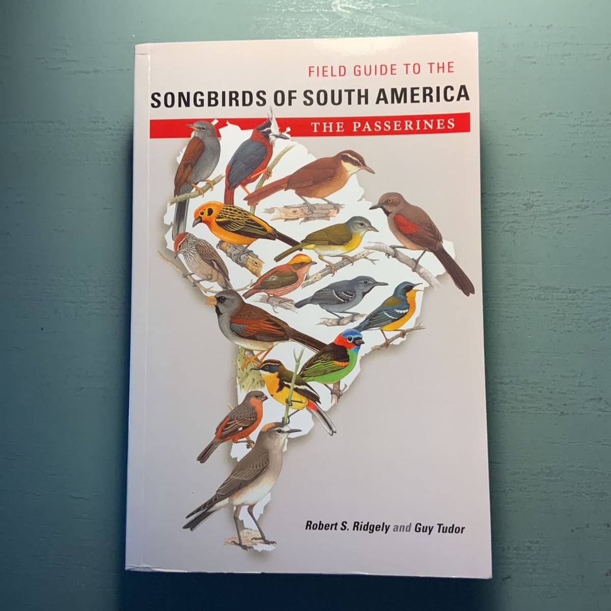 Field Guide to the Songbirds of South America by Robert S. Ridgely, Guy ...