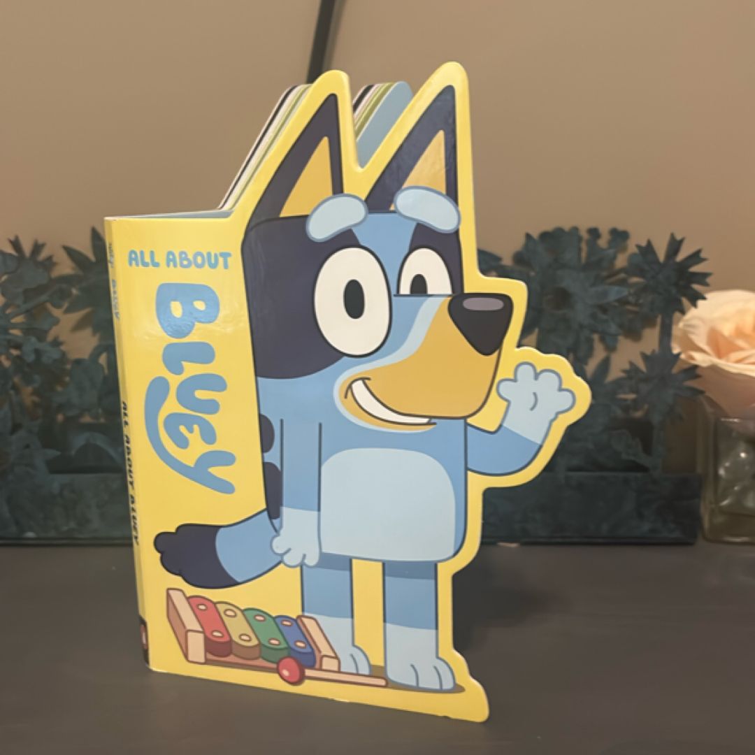 All about Bluey