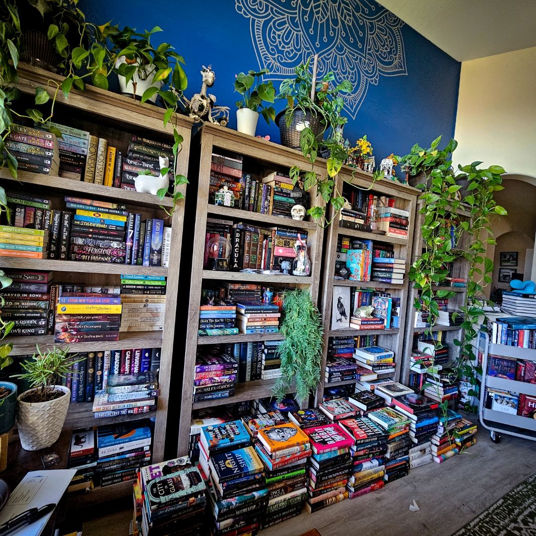 The Stacked Shelves 📚🖤📚