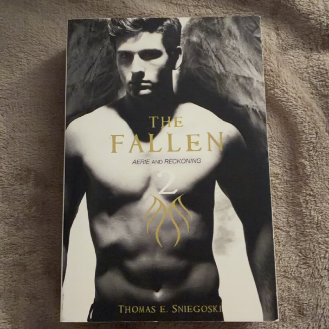 The Fallen 2