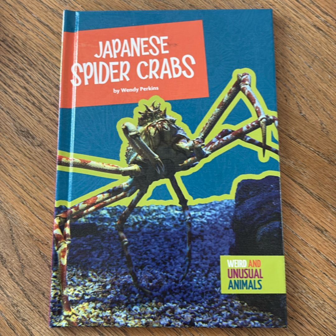 Japanese Spider Crabs