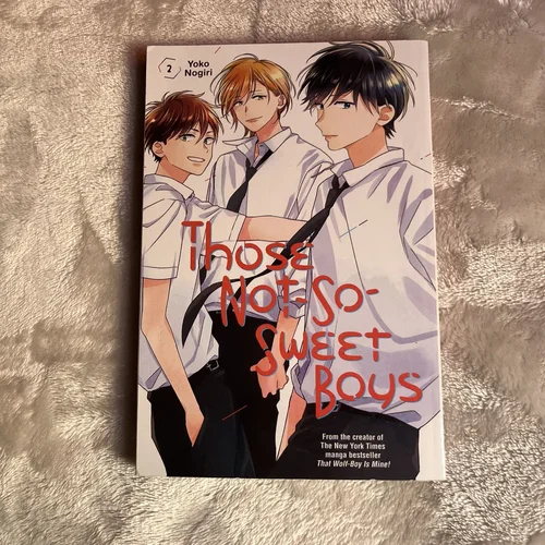 Those Not-So-Sweet Boys 2