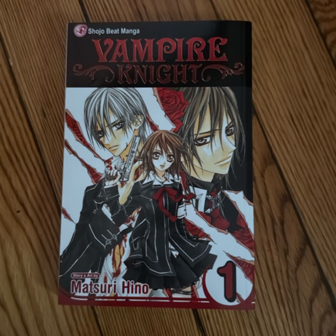 Vampire Knight, Vol. 1