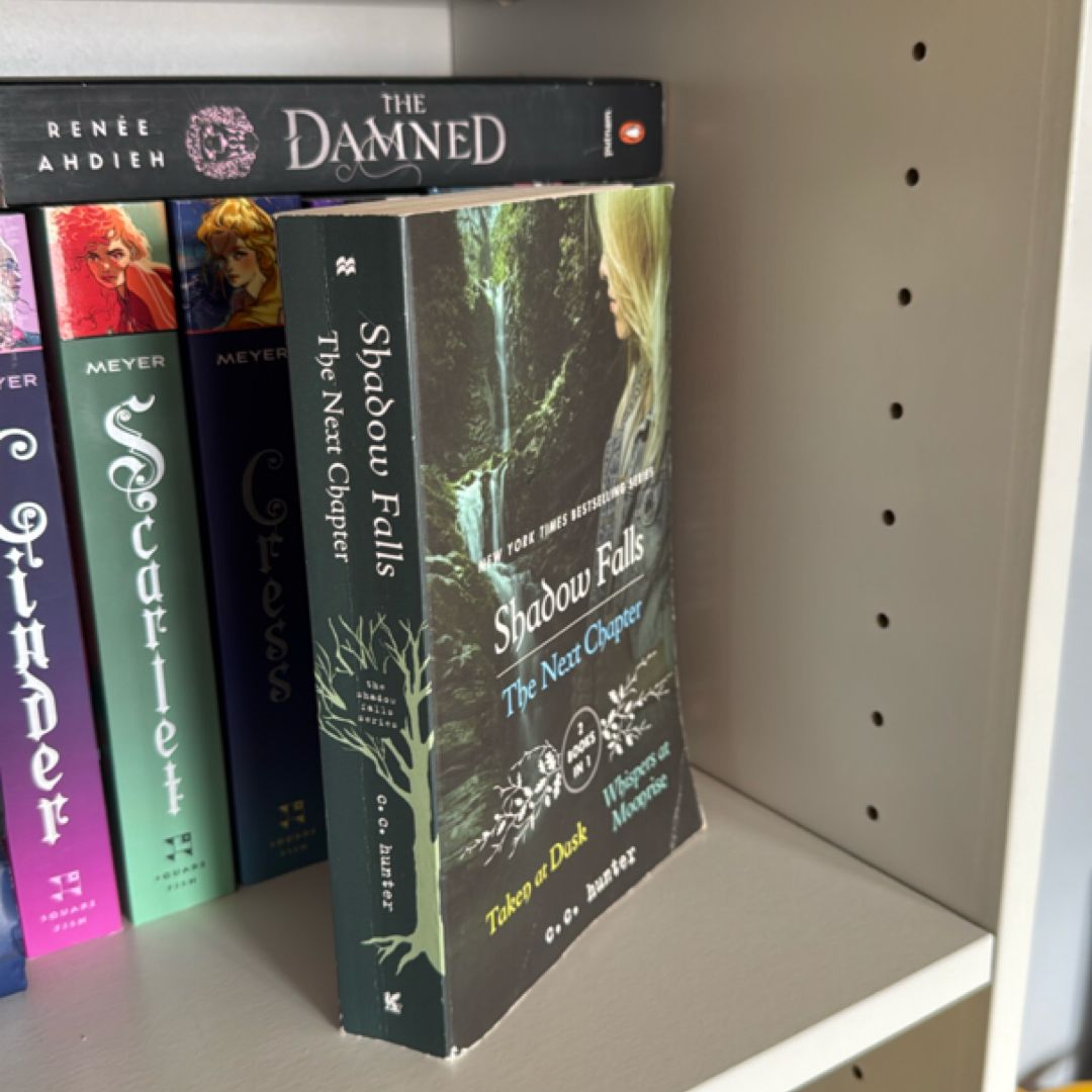 Shadow Falls: the Next Chapter