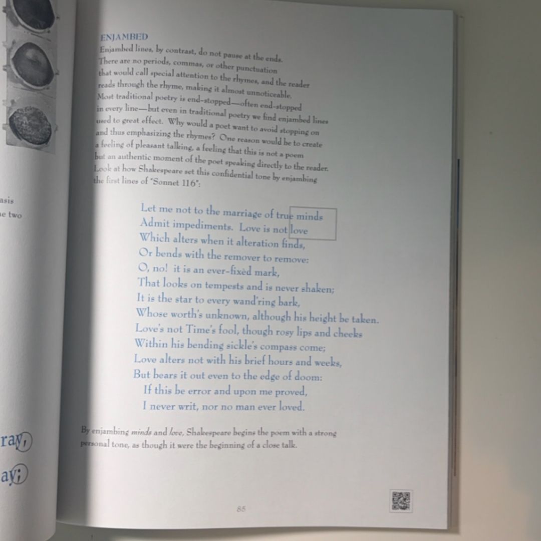Poetry, Plato, and the Problem of Beauty Student Book: Second Edition Revised