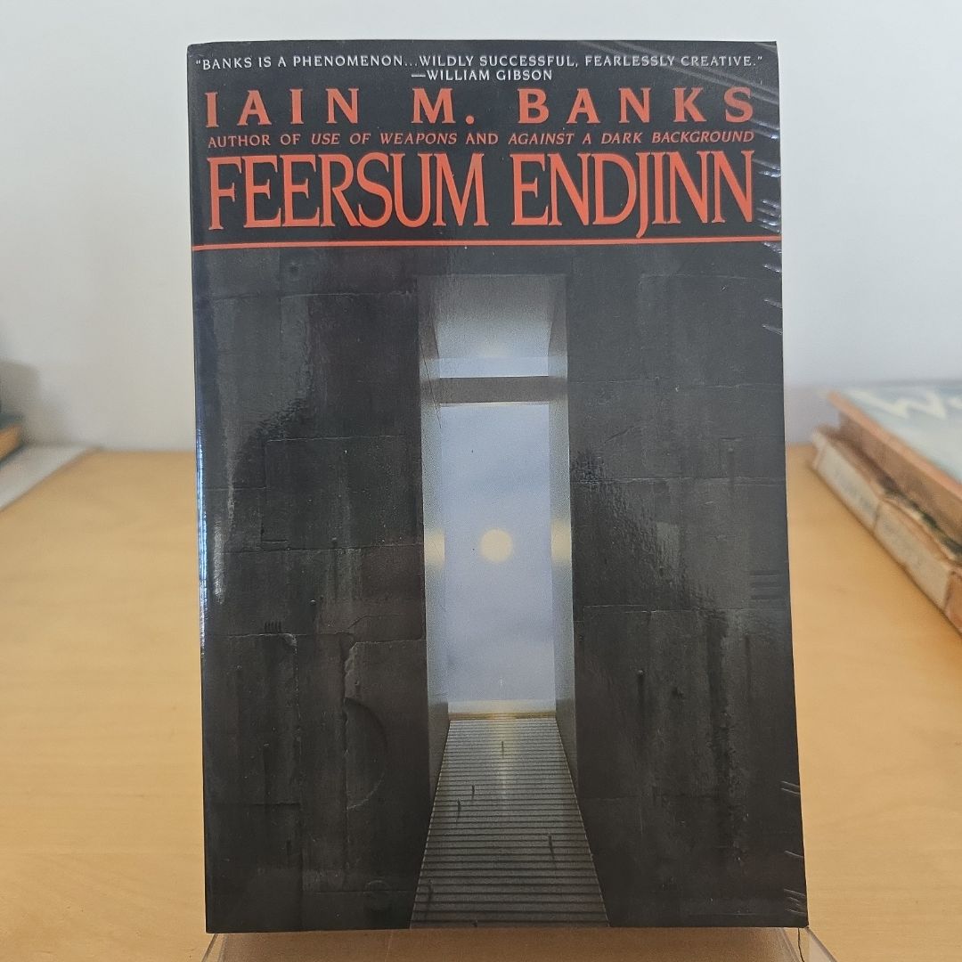 Feersum Endjinn