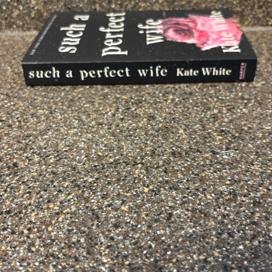 Such a Perfect Wife