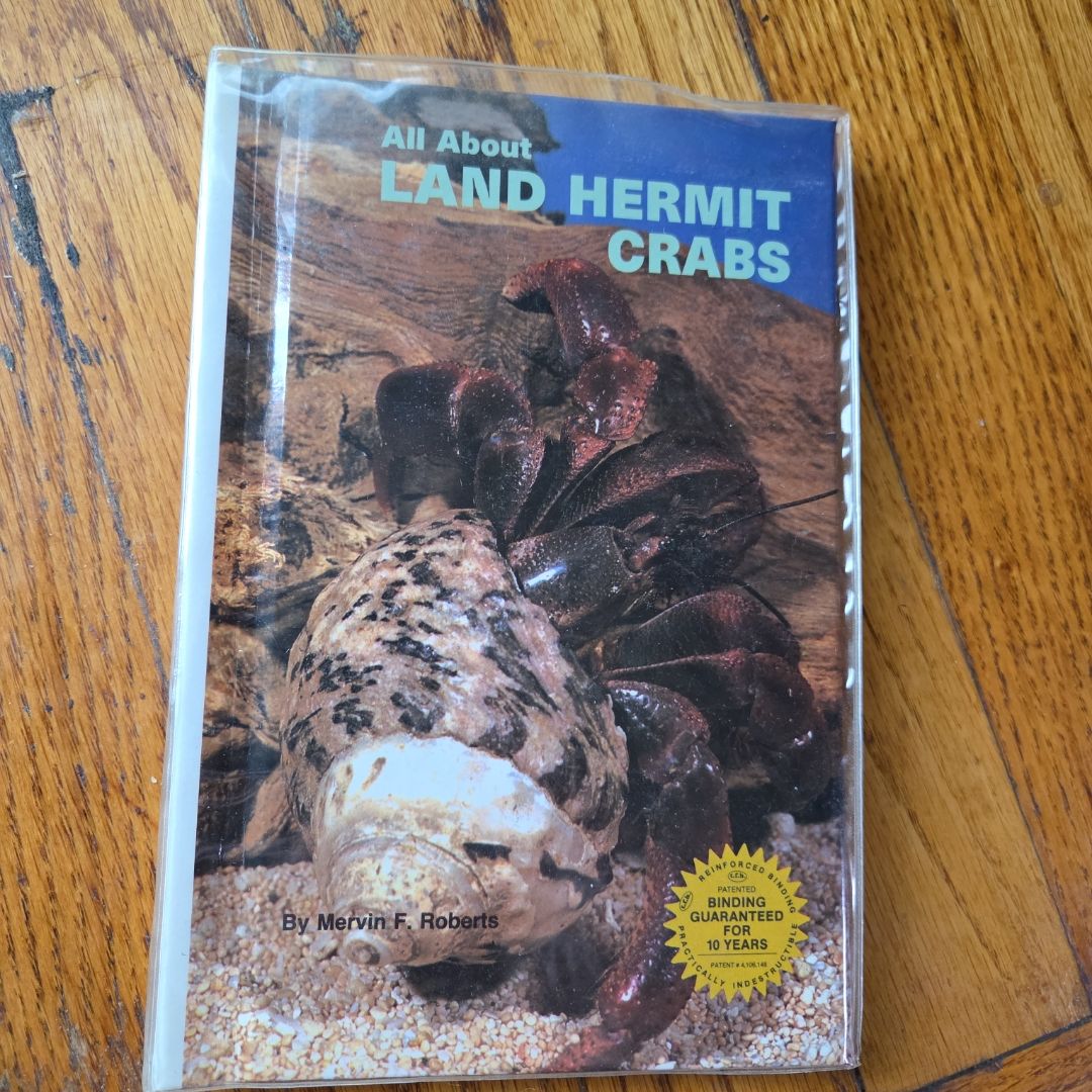 All AboutLand Hermit Crabs