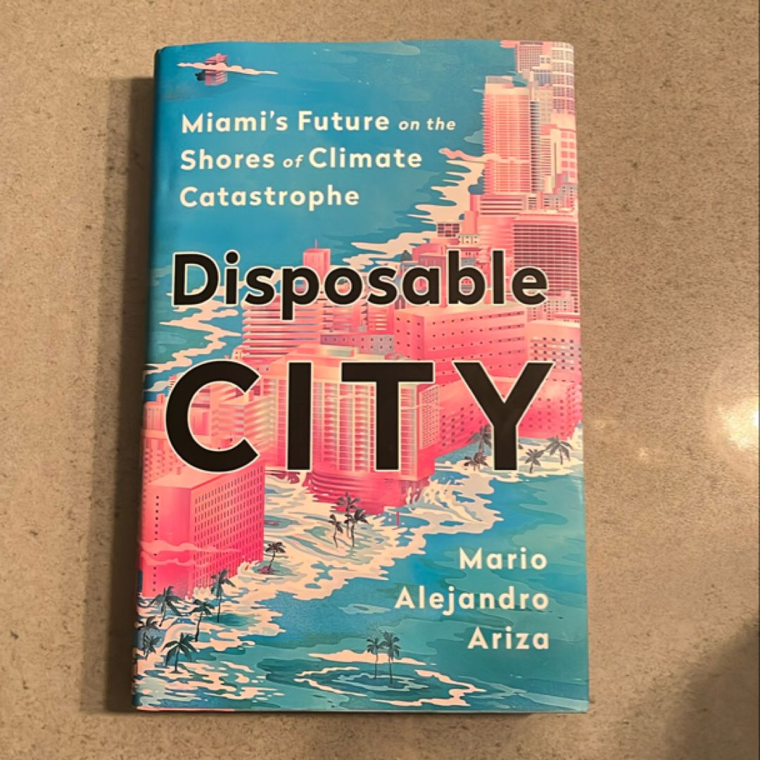 Disposable City by Mario Alejandro Ariza