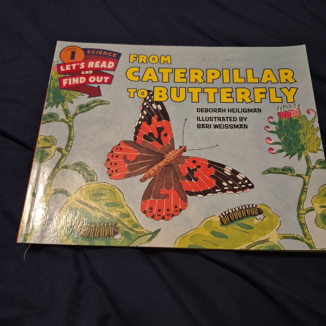 From Caterpillar to Butterfly