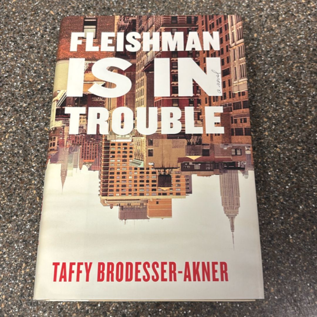 Fleishman Is in Trouble