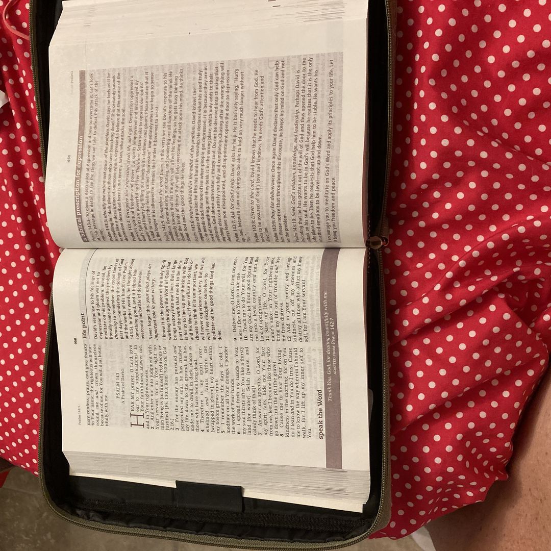 Sale image for 2135c5c0-7f3e-438e-a262-caa0cddc320c-GkpRUi7t9gZyIEJfAvZ4BHqVihq2