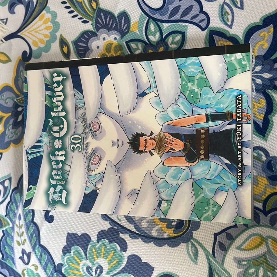 Black Clover, Vol. 30