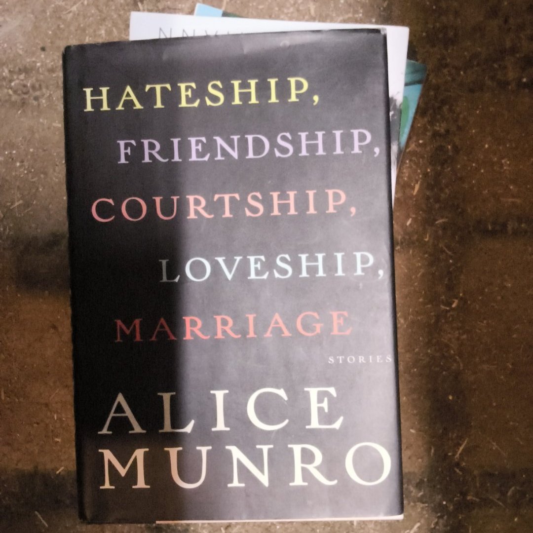 Hateship, Friendship, Courtship, Loveship, Marriage