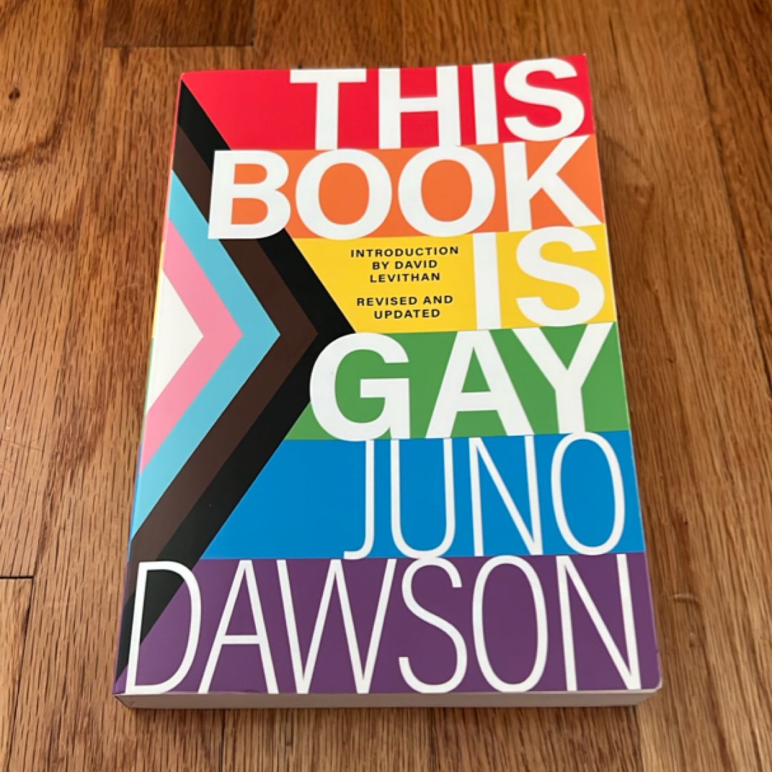 This Book Is Gay