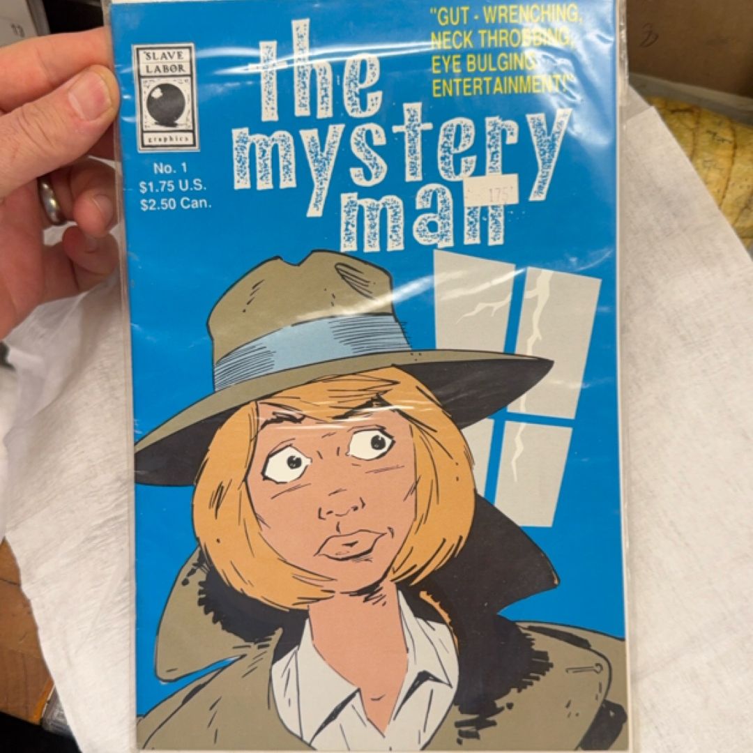 The Mystery Man comic #1 