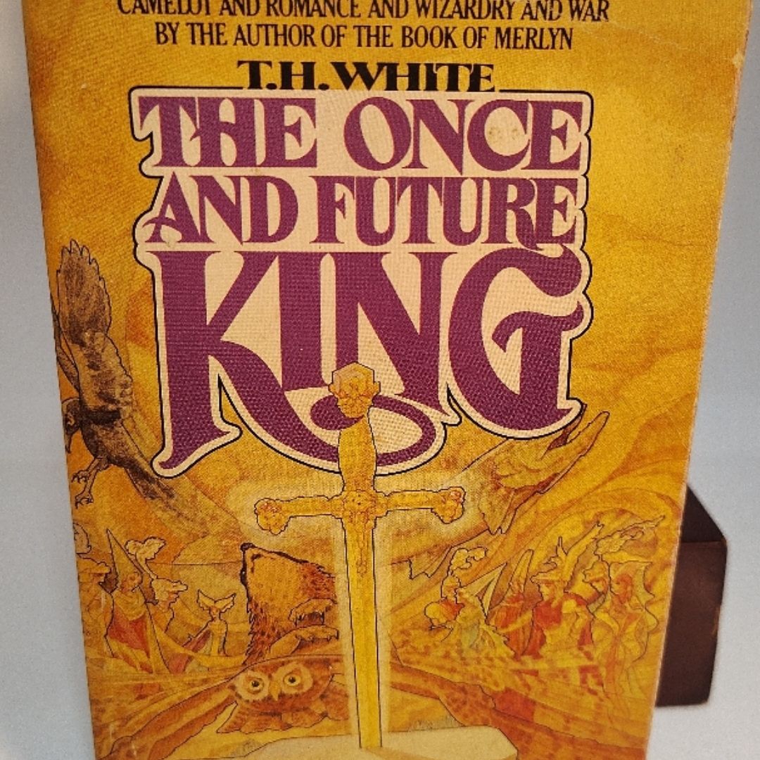 The Once and Future King by T. H. White, Paperback | Pangobooks