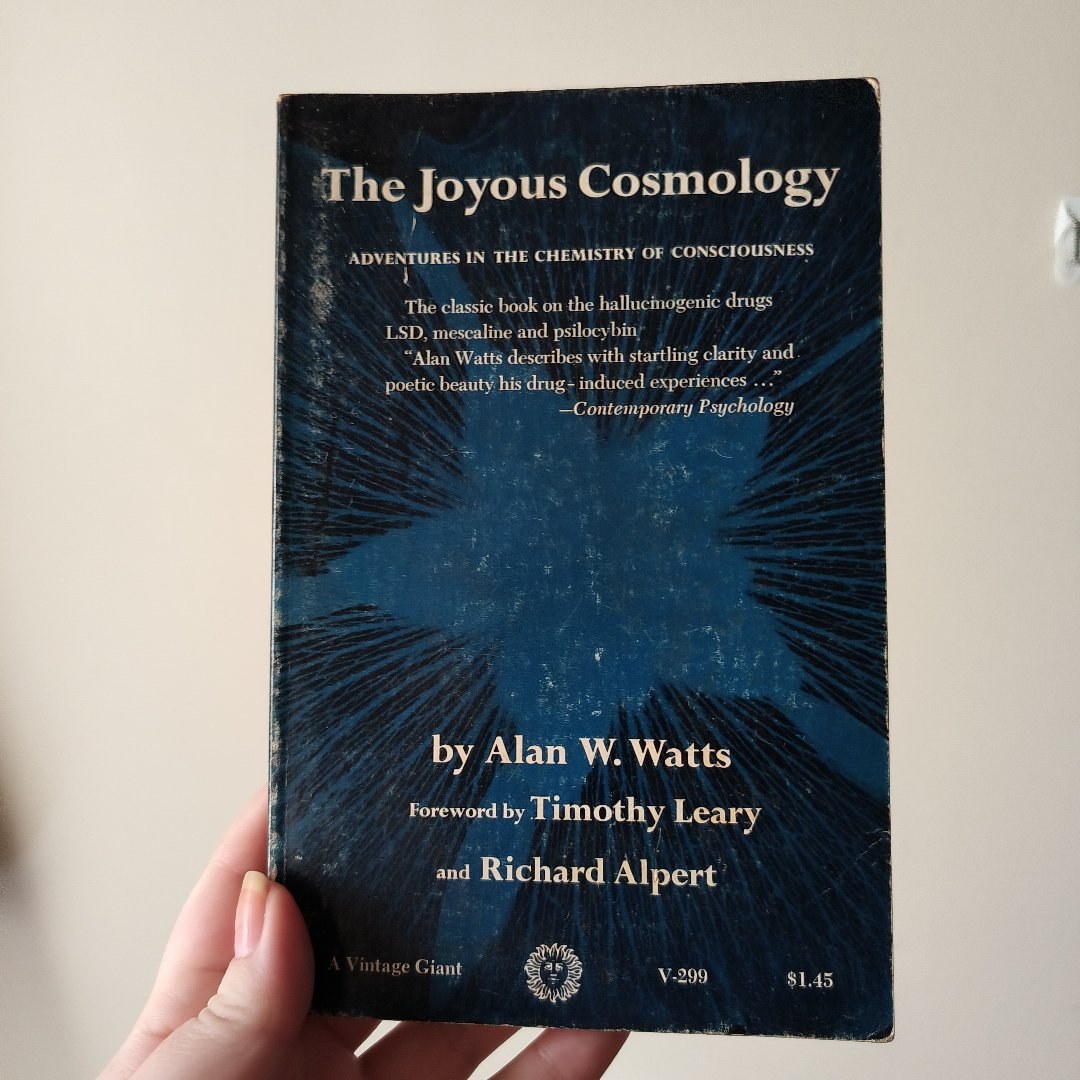 The Joyous Cosmology