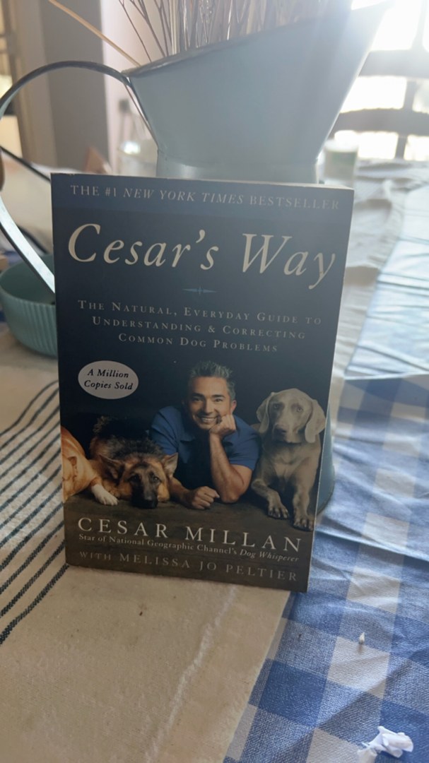 Cesar's Way