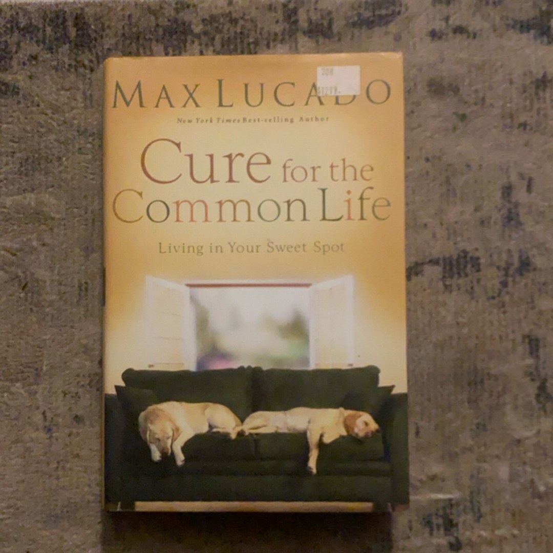 Cure for the Common Life
