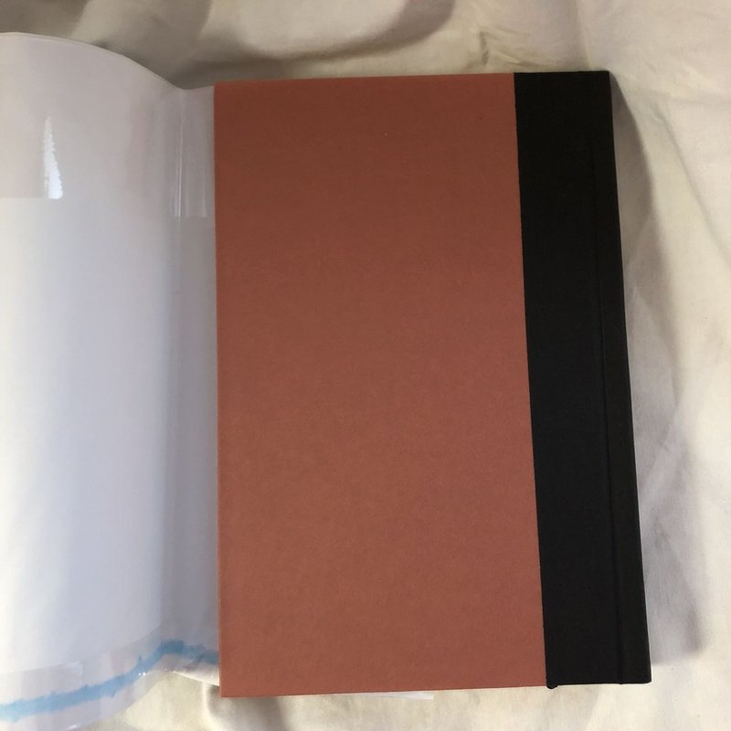 Seekers #3: Smoke Mountain