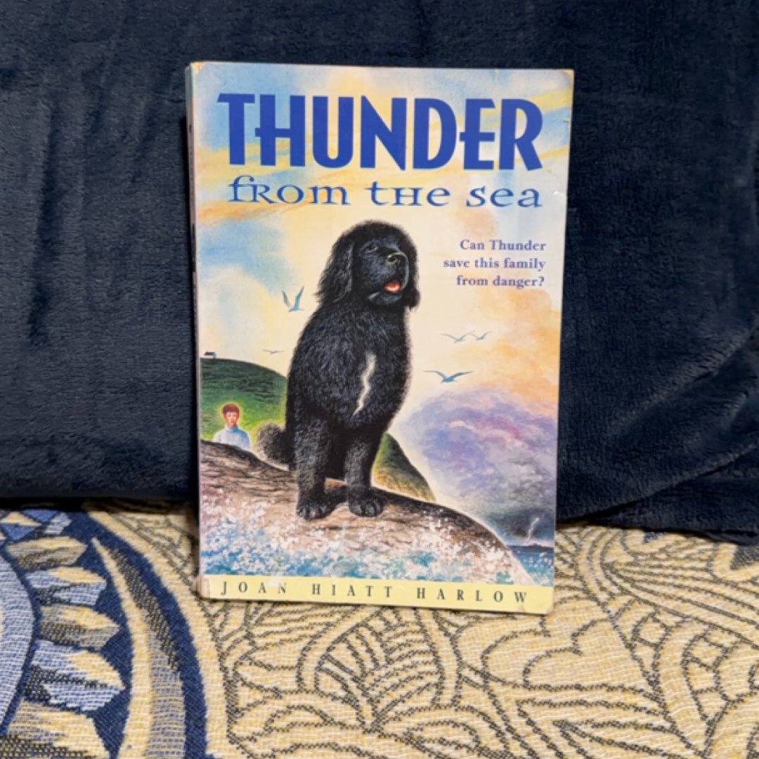 Thunder from the Sea