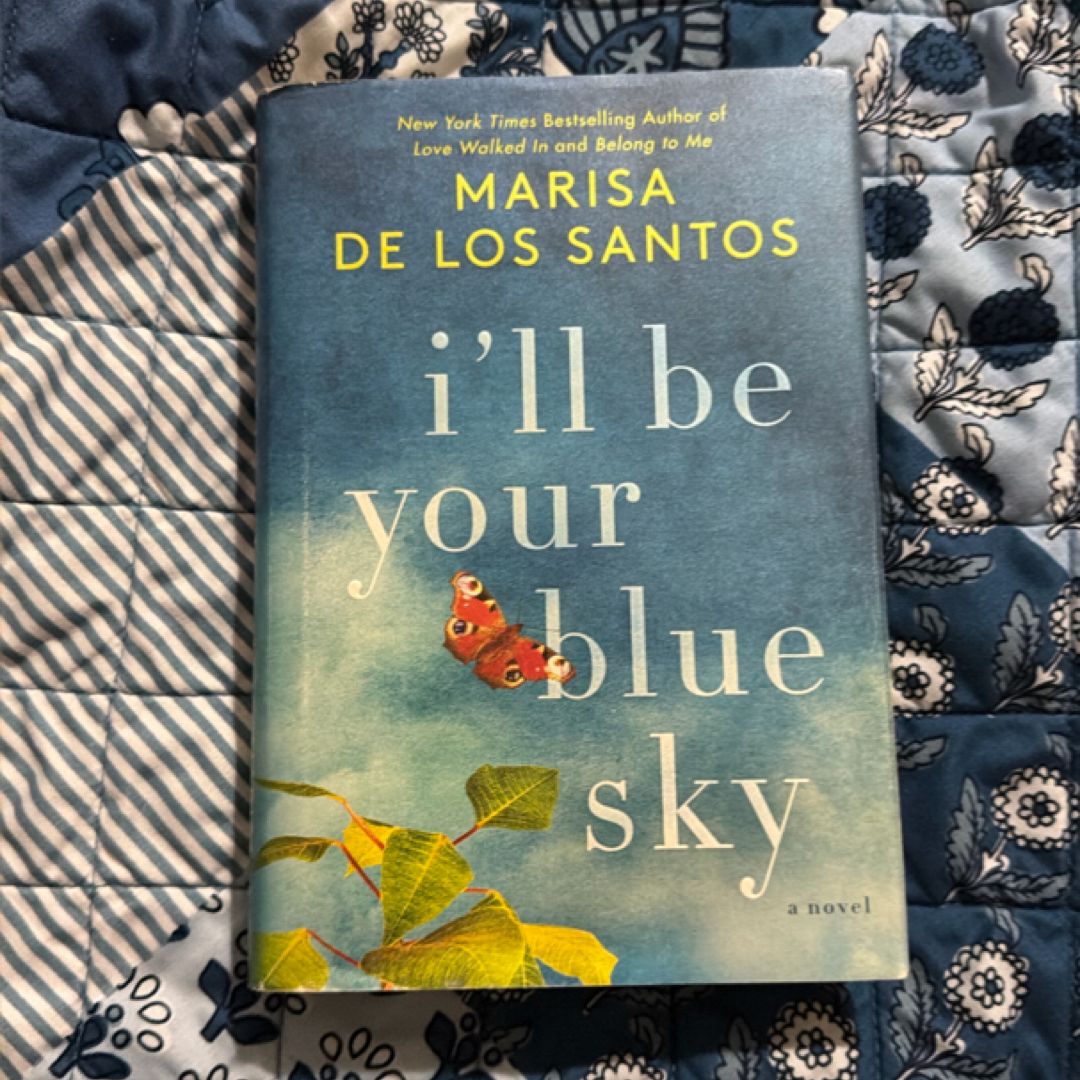 I'll Be Your Blue Sky