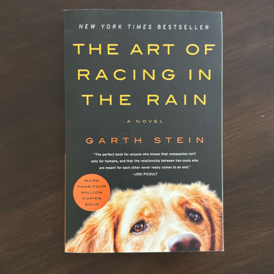 The Art of Racing in the Rain