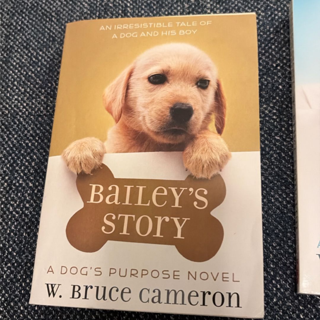 Bailey's Story